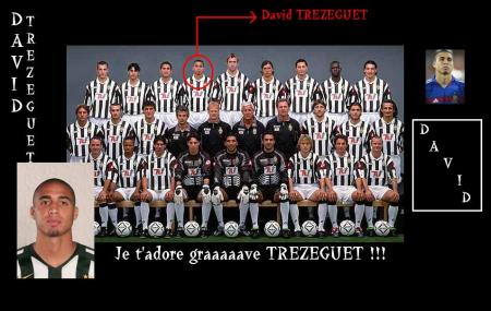 david